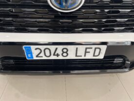 Toyota RAV4 2.5l 220H Business 4WD 2020